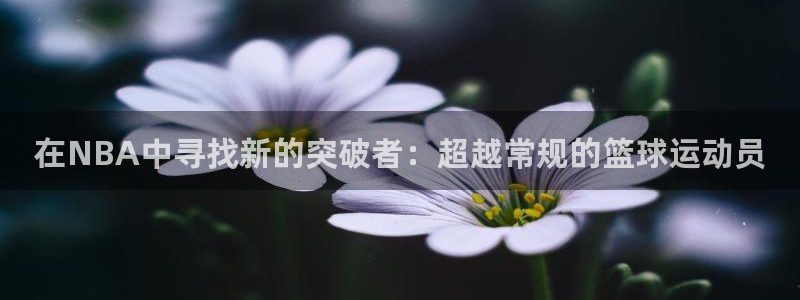 世界杯预选赛在线