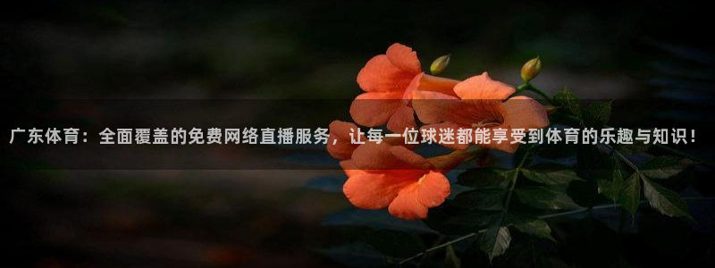 梅西 世界杯预选赛