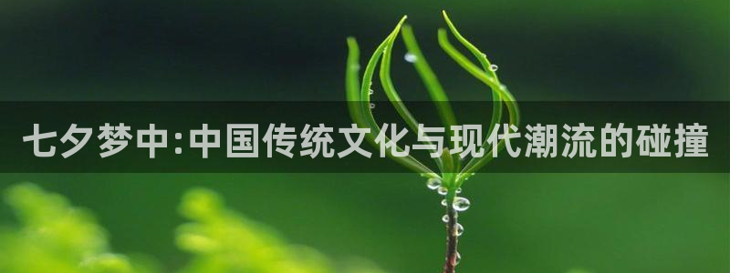 世界杯直播的