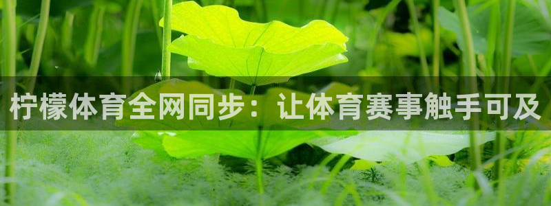 世界杯足球赛结果